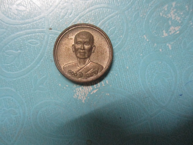 100ปีคุณยายอัลปาก้า