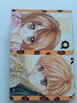 ลุ้นรักริมคอร์ท