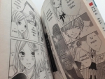 ปิ๊งรักหนุ่มหน้าใส / Nami FUJIO