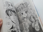 เลดี้ที่รักกับพ่อบ้านต้องสู้ / Yuko AMANE / เล่มเดียวจบ