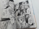 เลดี้ที่รักกับพ่อบ้านต้องสู้ / Yuko AMANE / เล่มเดียวจบ