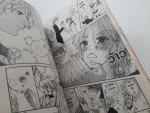 โรงเรียนวุ่นรัก / Shizuki FUJISAWA
