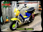 ขาย Honda ชาลี Gorilla 50.cc Chappy ชิปปี้