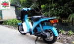 Suzuki pallet basket 50cc หัวฉีด 4 จังหวะ basket