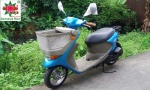 Suzuki pallet basket 50cc หัวฉีด 4 จังหวะ basket