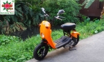 ขายรถป๊อบ Suzuki Choinori 50.cc suzuki Address 50cc