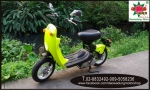 ขายรถป๊อบ Suzuki Choinori 50.cc suzuki Address 50cc