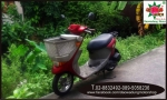 Suzuki pallet basket 50cc หัวฉีด 4 จังหวะ basket