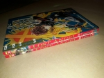 LOST ANGEL 2 เล่มจบ