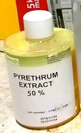 PYRETHRUM DRIED FLOWERS AND EXTRACT 50% 1 Kg.