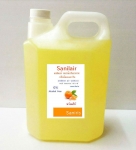 หัวเชื้อ Sanilair สเปรย์ปรับอากาศ กลิ่น Orange, Mandarin