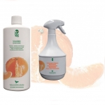 Air Sanitizer Mandarin (Citrus) 1 Liter