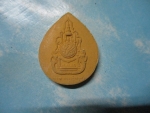 ผงร.9ทรงยินดี
