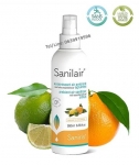 Air Sanitizer Mandarin (Citrus) 1 Liter