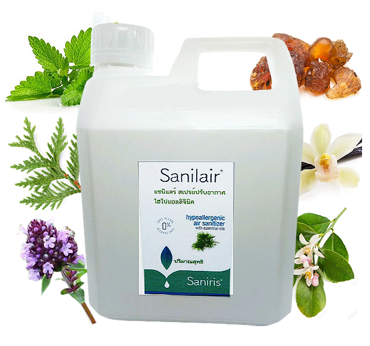 Air Sanitizer Hypoallergenic essential oil 100% RTU 1 Liter