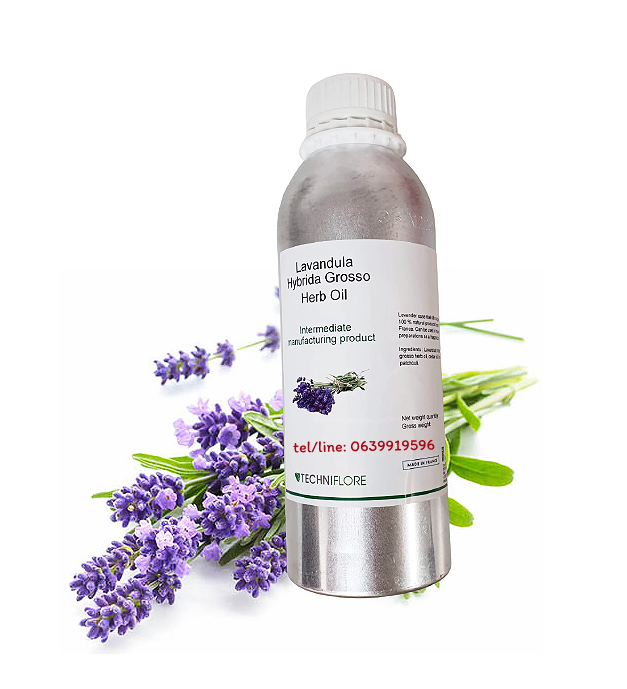 Lavandula Hybrida Grosso Herb Oil 1 Kg.