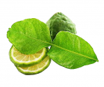 Bergamot from Italy กลิ่นมะกรูด 1 Litre