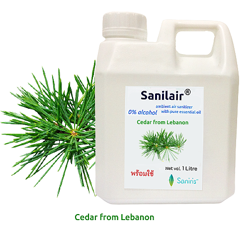 Cedar from Lebanon กลิ่นซีด้าร์ 1 Litre