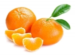 Sanilair Mandarin (Citrus) pure essential oil 30ml