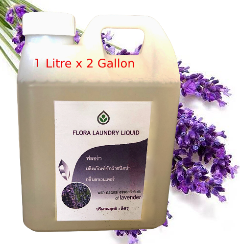 FLORA Laundry Liquid with natural essential oils of Lavender 1 Liter x 2 Gallons