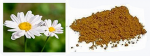 INSECTICIDE FLOWER EXTRACT 1 LITER