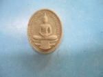 ผงหลวงพ่อโสธรออกวัดเทพพนารามปี62