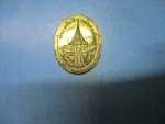ร.5ครบ350ปีวัดพระพุทธบาทปี17