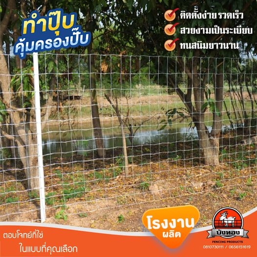 รั้วตาข่ายแรงดึงทนสนิม 20 ปี ลวดญี่ปุ่น คุณภาพดี บังทอง ชุบกัลวาไนท์ ลวดขนาด 2. รั้วตาข่ายแรงดึงทนสนิม 20 ปี ลวดญี่ปุ่น คุณภาพดี บังทอง ชุบกัลวาไนท์ ลวดขนาด 2.