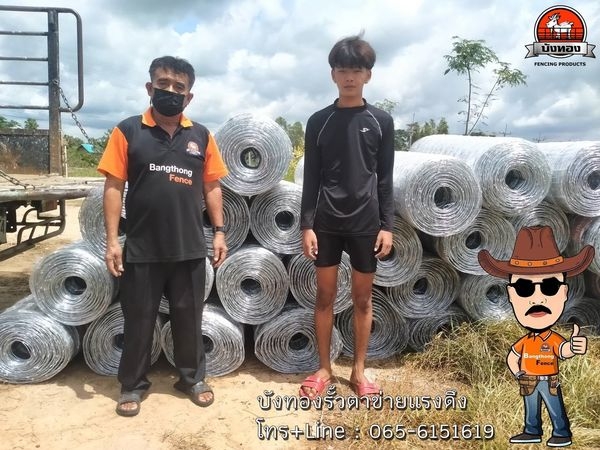 รั้วตาข่ายแรงดึง สำหรับสัตว์และการเกษตร คุณภาพดี ราคาถูกประหยัด รั้วเเกะ รั้วเเพ รั้วตาข่ายแรงดึง สำหรับสัตว์และการเกษตร คุณภาพดี ราคาถูกประหยัด รั้วเเกะ รั้วเเพ